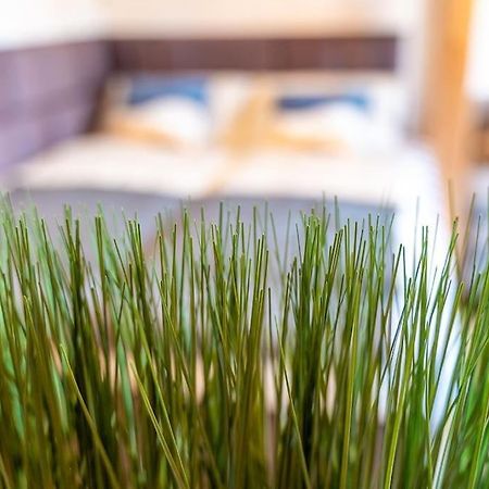 Golden Nugget Inkl Wlan, Parkplatz Lejlighed Detmold Eksteriør billede