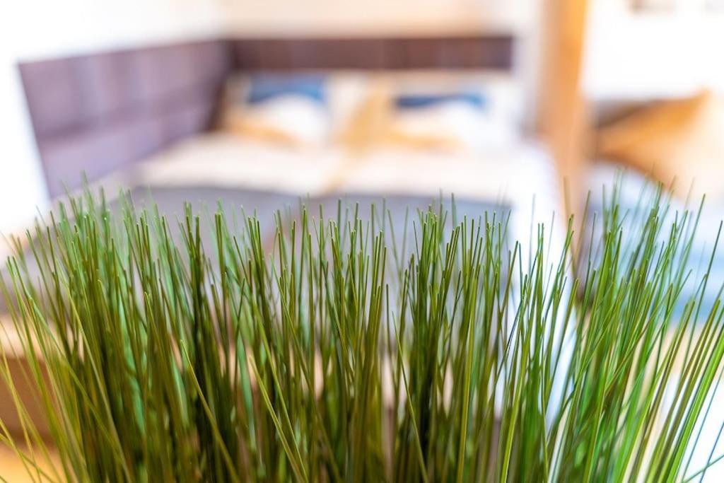 Golden Nugget Inkl Wlan, Parkplatz Lejlighed Detmold Eksteriør billede